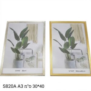 $מסגרת תמונה A3 S820A